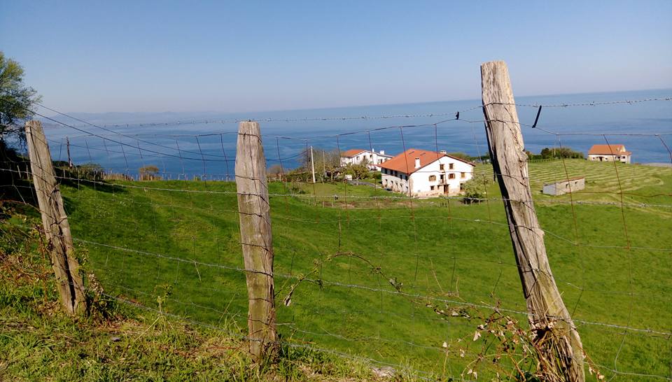 18010257_10212326616577499_2176826764846103883_n