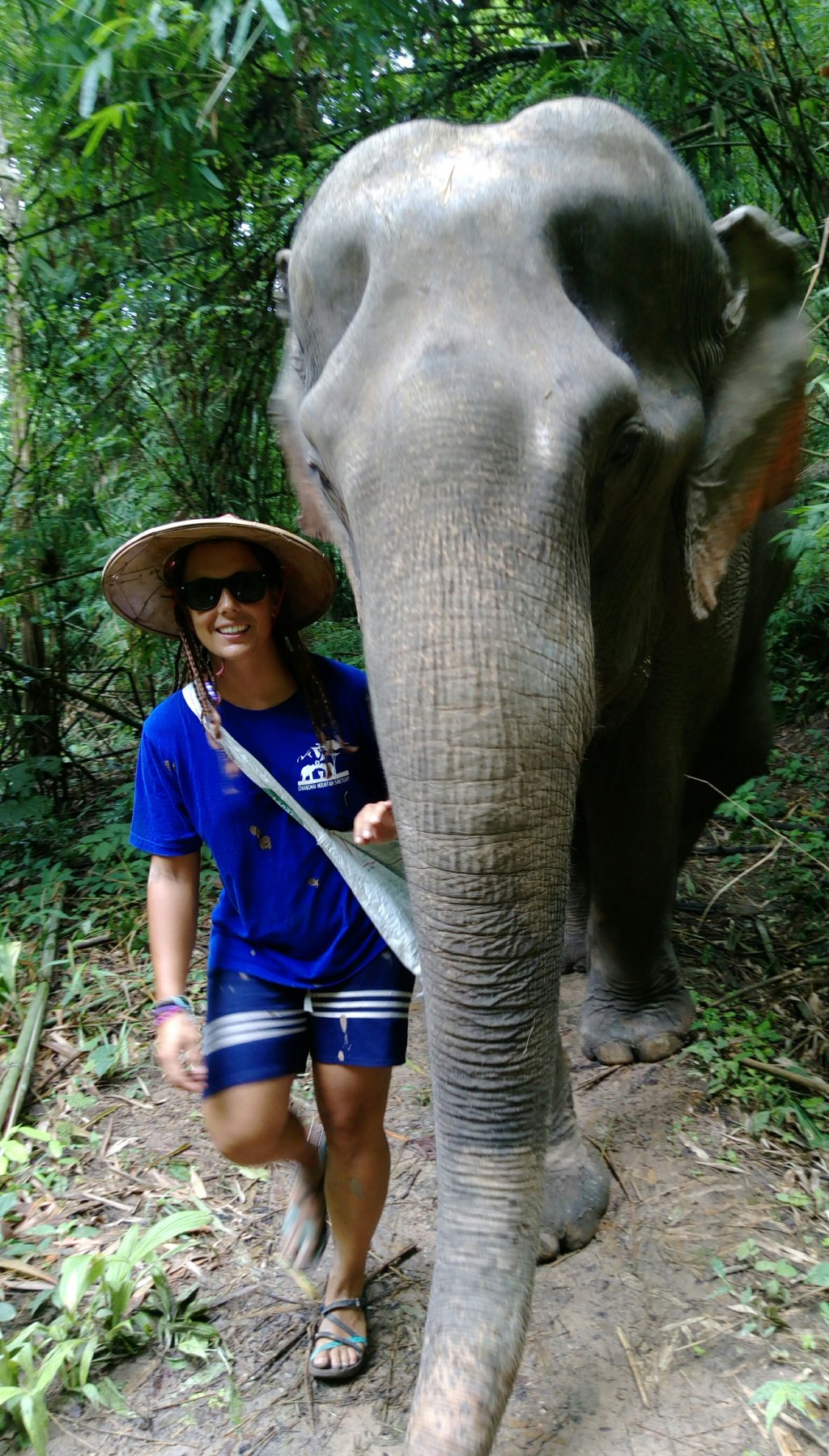 Día 28.- Pasamos el día con&nbsp;elefantes