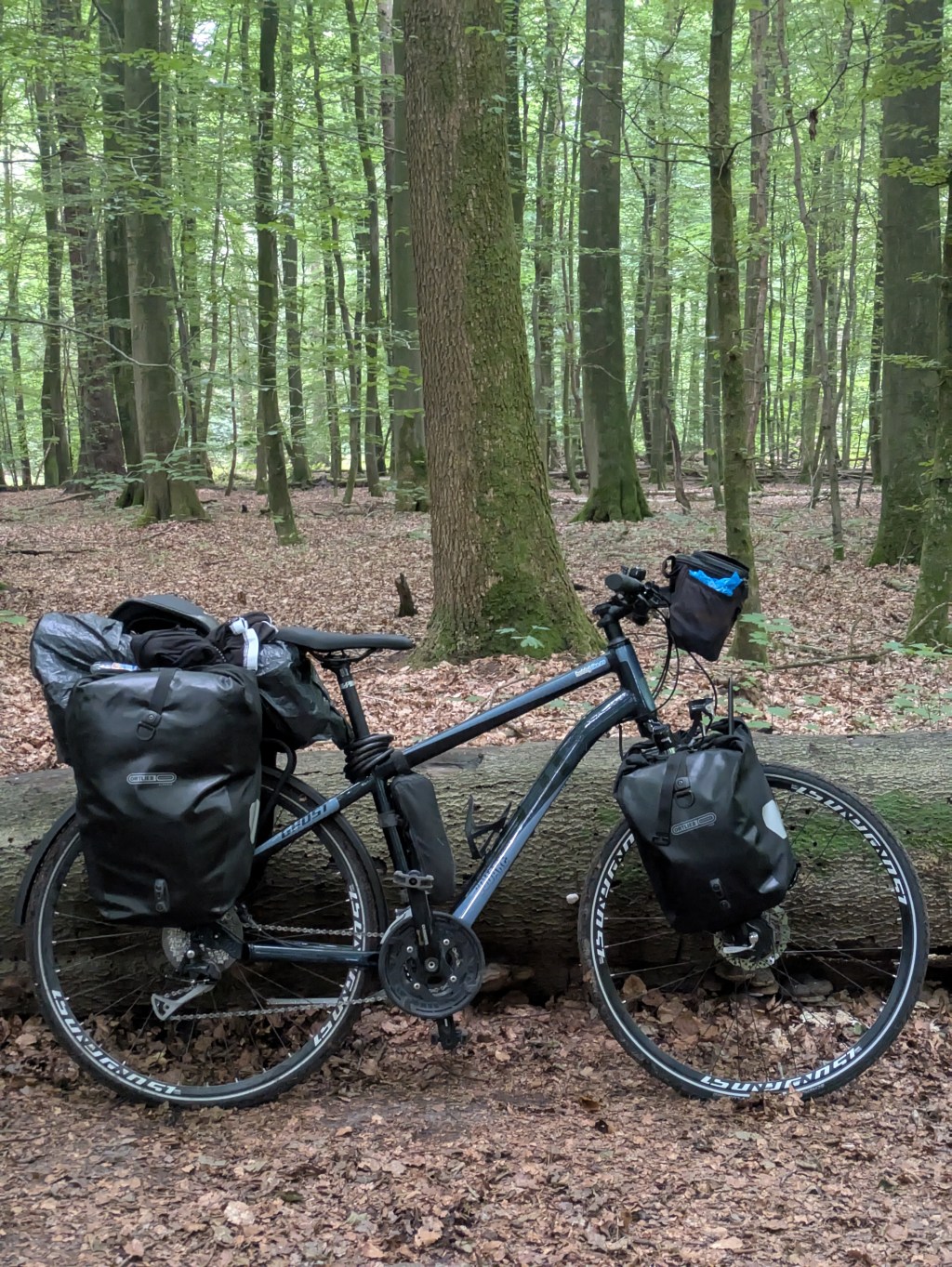 Etapa 23. Hohenlocksted – Flensburg&nbsp;117km
